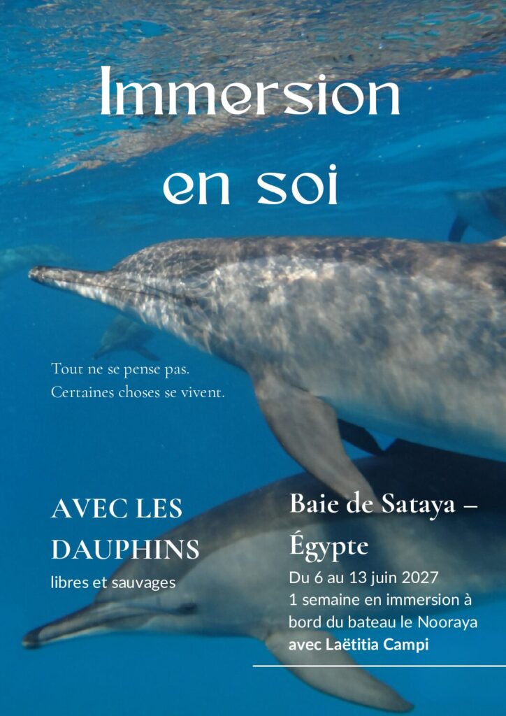 Brochure sataya 2027