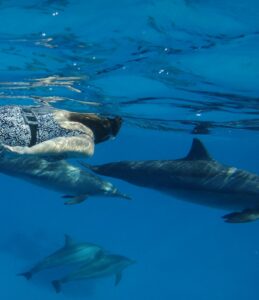 Laëtitia Campi parmi les dauphins libres dans le lagon de Sataya, mer Rouge