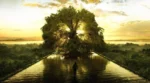 psycho-somatothérapie : retrouver son arbre de vie