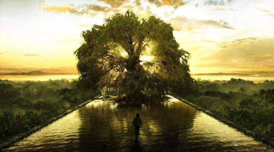 psycho-somatothérapie : retrouver son arbre de vie